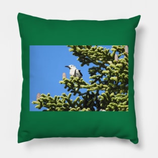 Clark's nutcracker, birds, wildlife, nature, gifts, Forest Gem Pillow