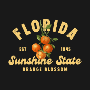 Florida Sunshine State T-Shirt