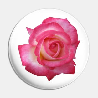 Pink rose Pin