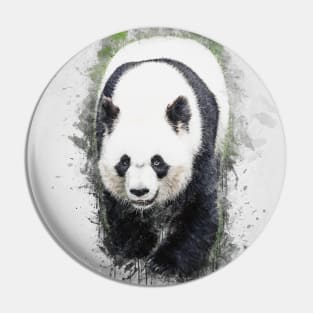 Panda Bear Animal Wild Forest Jungle Bamboo Nature Asia China Pin