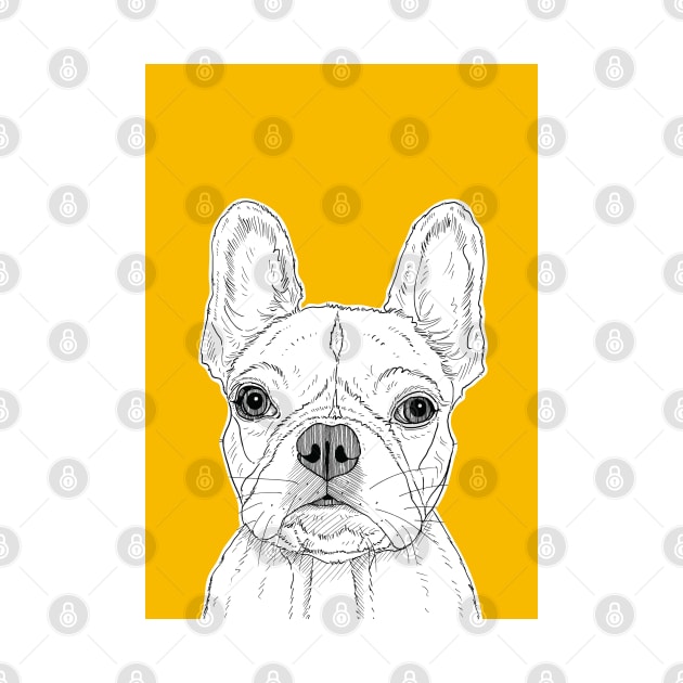 French Bull Terrier ( yellow background ) by AdamRegester