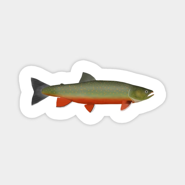 Dolly Varden Trout Magnet by FishFolkArt