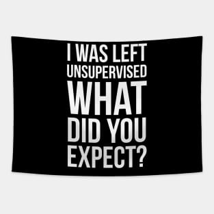 I Was Left Unsupervised What Did You Expect? Tapestry