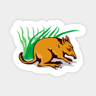 Bandicoot Side View Retro Magnet