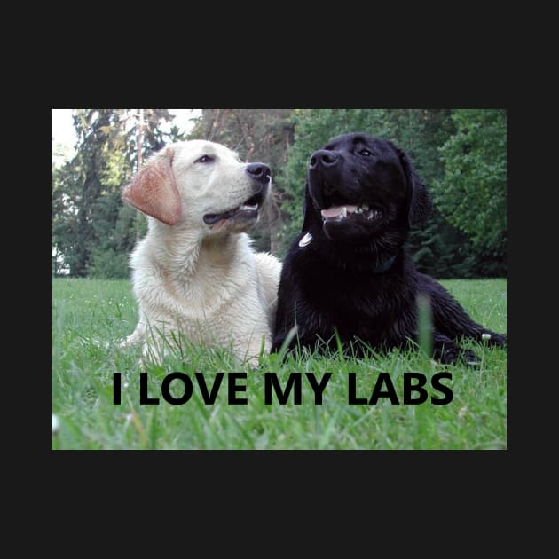 Lab Love with PIcture by Wanderingangel