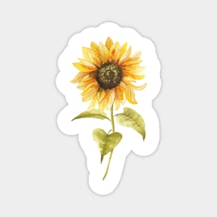 Watercolor Sunflower hand painted Magnet