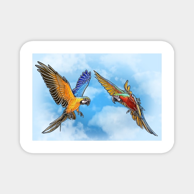 Straw Hat Parrots Luffy and Zoro: Cloud Background Magnet by Straw Hat Parrots