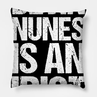 Devin Nunes Is An Idiot Pillow