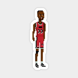 Alonzo Mourning Magnet
