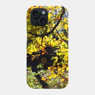 Through the Trees Phone Case