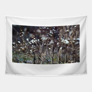 Winter Panicled Aster Tapestry