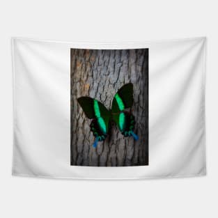 Green Blue Butterfly Resting On Tree Tapestry