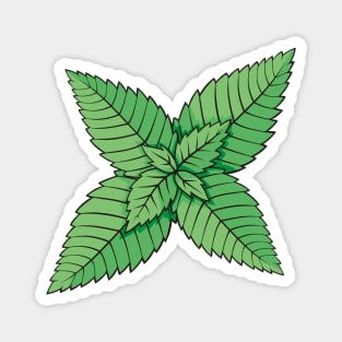 Mint Leaves Magnet