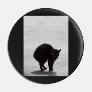 Black Cat, Witch's Familiar Pin