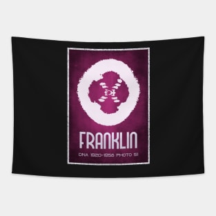 Rosalind Franklin Photo 51 DNA Crystallisation Tapestry