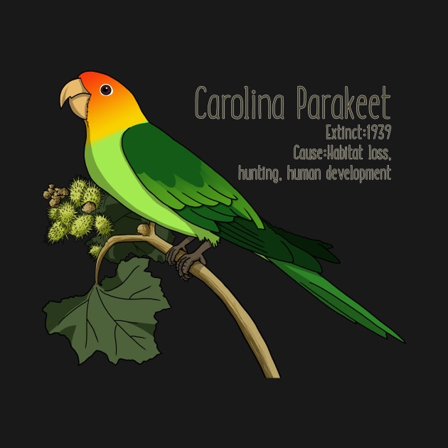 Extinct Species: Carolina Parakeet by Feathered Focus