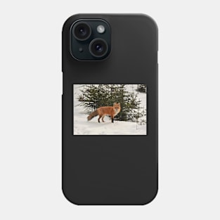 Foxy in the woods Phone Case