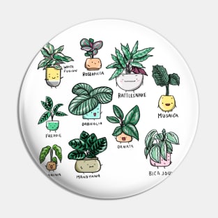 Calathea Family Pin