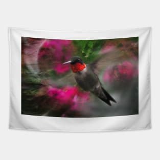 Hummingbird with Pink Tapestry