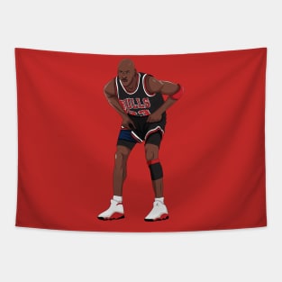 Michael Jordan Defends Tapestry