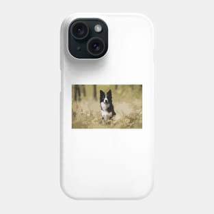 Border Collie Digital Painting Phone Case