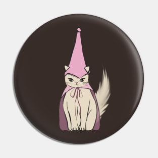 Birthday cat doodle Pin