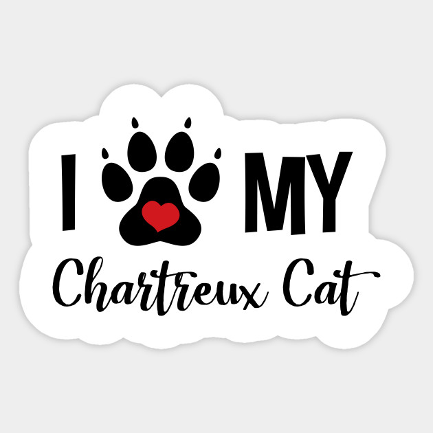 I Love My Chartreux Cat - Chartreux Cat - Sticker