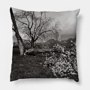 Broken Poetry Pillow