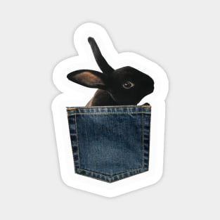 Black Bunny in Denim Pocket Magnet