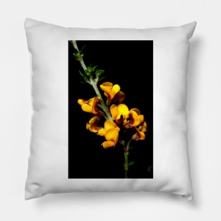 Spring Breakfast Pillow