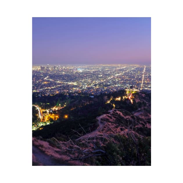 los Angeles California by igjustin