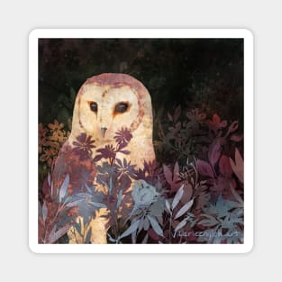 Barn Owl in Flower Field Night Magnet