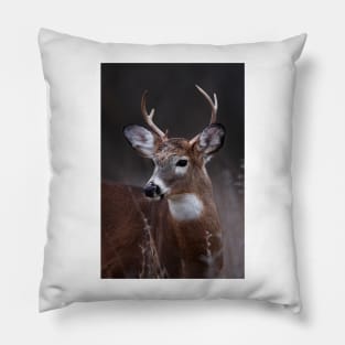 Deer boy - White-tailed Deer Pillow