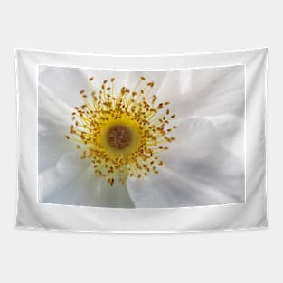 White Rose Tapestry