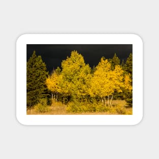 Colorado Storm Clouds Surround Gold Magnet