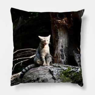 Wild cat III / Swiss Artwork Photography Pillow