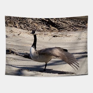 Canada Geese Stretching On The Sand Tapestry