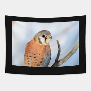 Tiny Falcon Tapestry