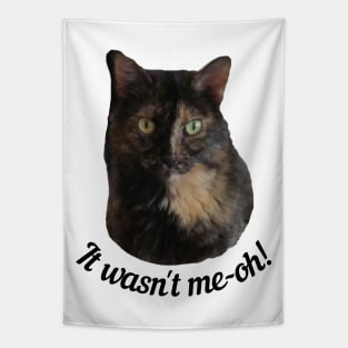 Tortoiseshell Cat Looking Guilty Tapestry