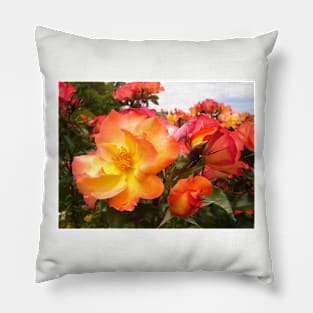 Red Yellow Orange Roses Pillow