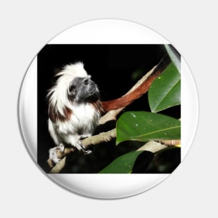 Cotton-top Tamarin Pin