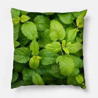 green life Pillow