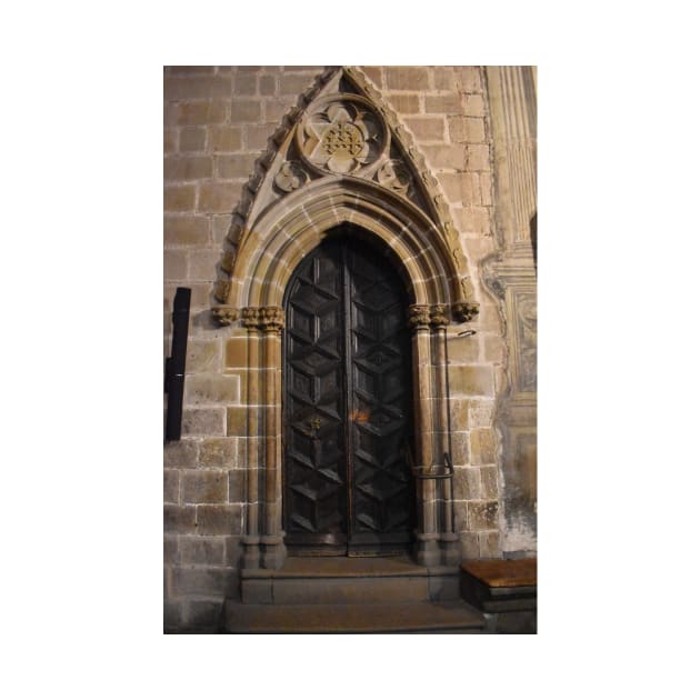 Cloister Door, Barcellona Cathedral of Saint Eulalia by IgorPozdnyakov