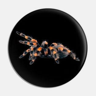 flamenco spider Pin