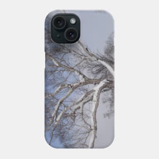 Snow on the branches Phone Case