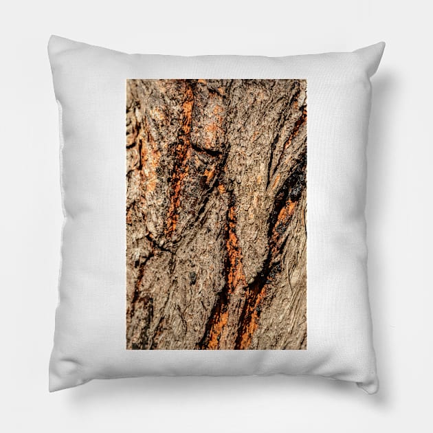 Bark CR03 Pillow by fotoWerner