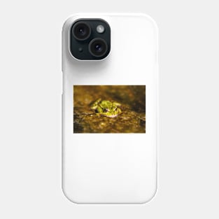 Marsh Frog (Pelophylax ridibundus) Phone Case