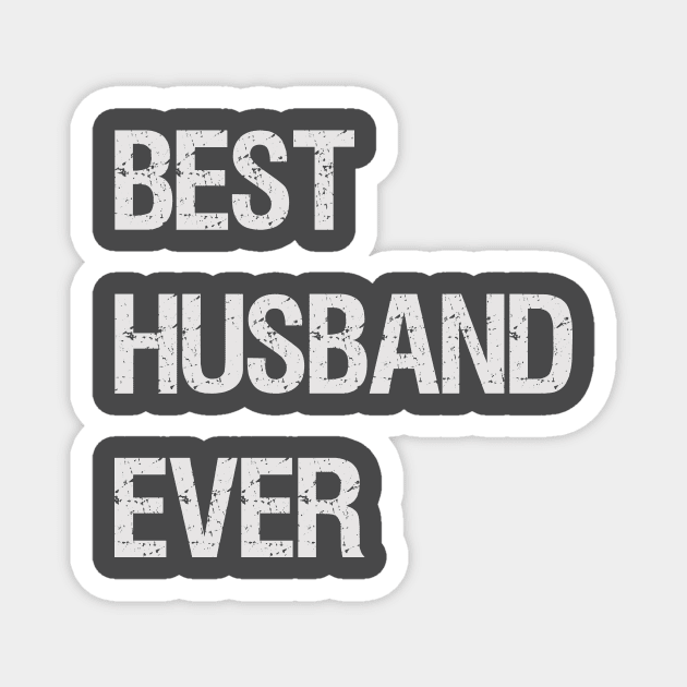 2nd Anniversary gift for husband - Best Husband Ever Magnet by Teezer79