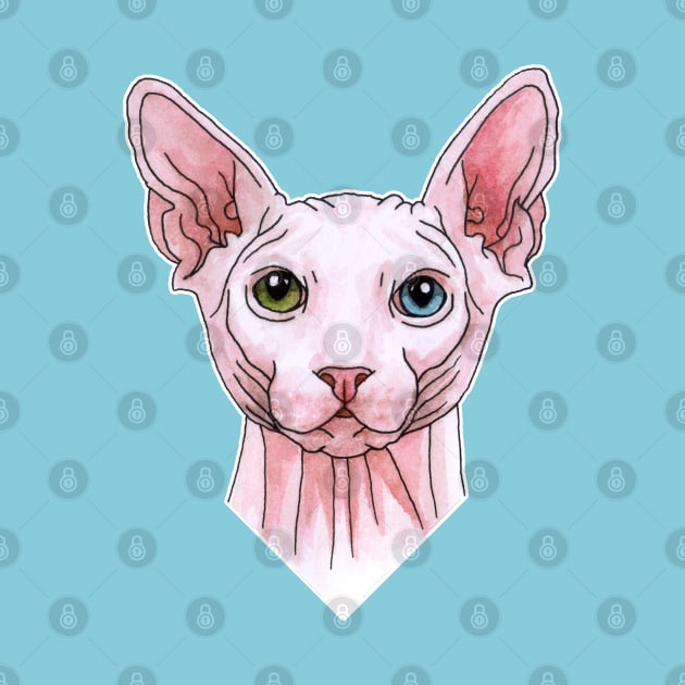 Sphynx cat portrait by Savousepate