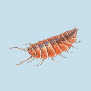 Porcellionides pruinosus "Orange" Isopod T-Shirt